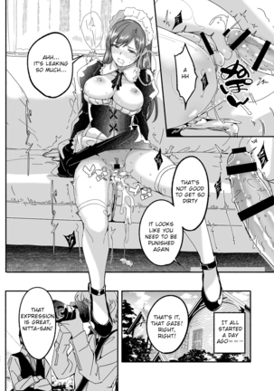 Maid Shujuu Lovers Page #22