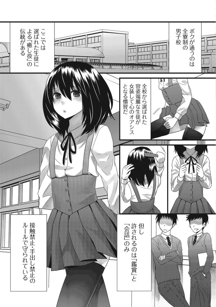 Otoko no musume ro ma n su
