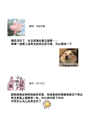 Image 12564309