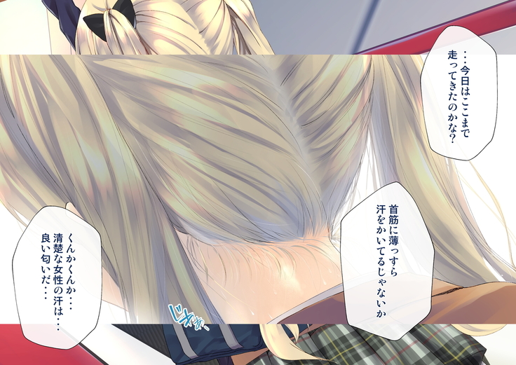 Rin to Shita Kinpatsu Twintail Shoujo ga Omocha ni Narihateru made