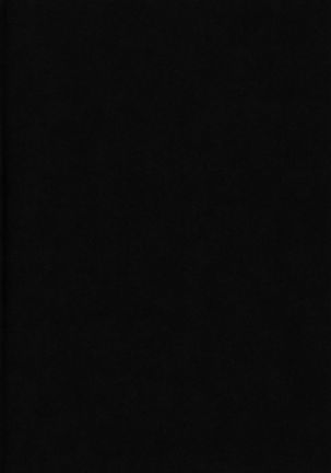 Image 3767486
