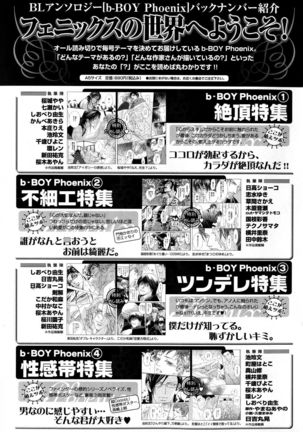 b-BOY Phoenix Vol.11 Shiroisha Tokushuu Page #232