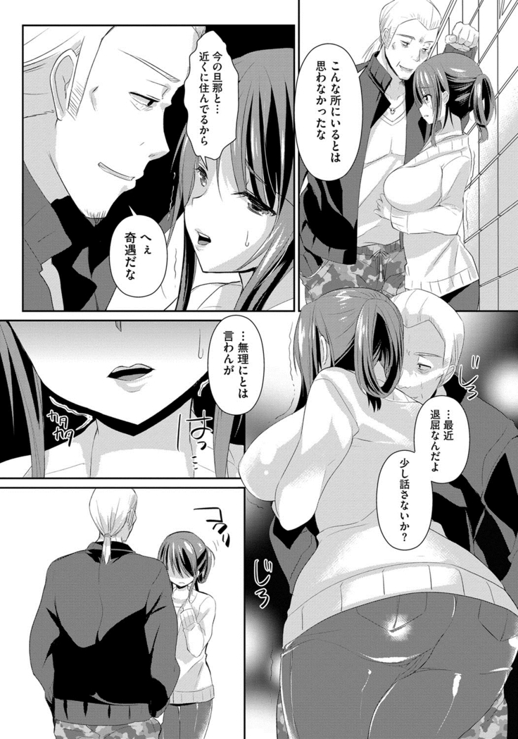 Hitozuma Fushin ~Inyoku ni Ochiru Bakunyuu-tachi~