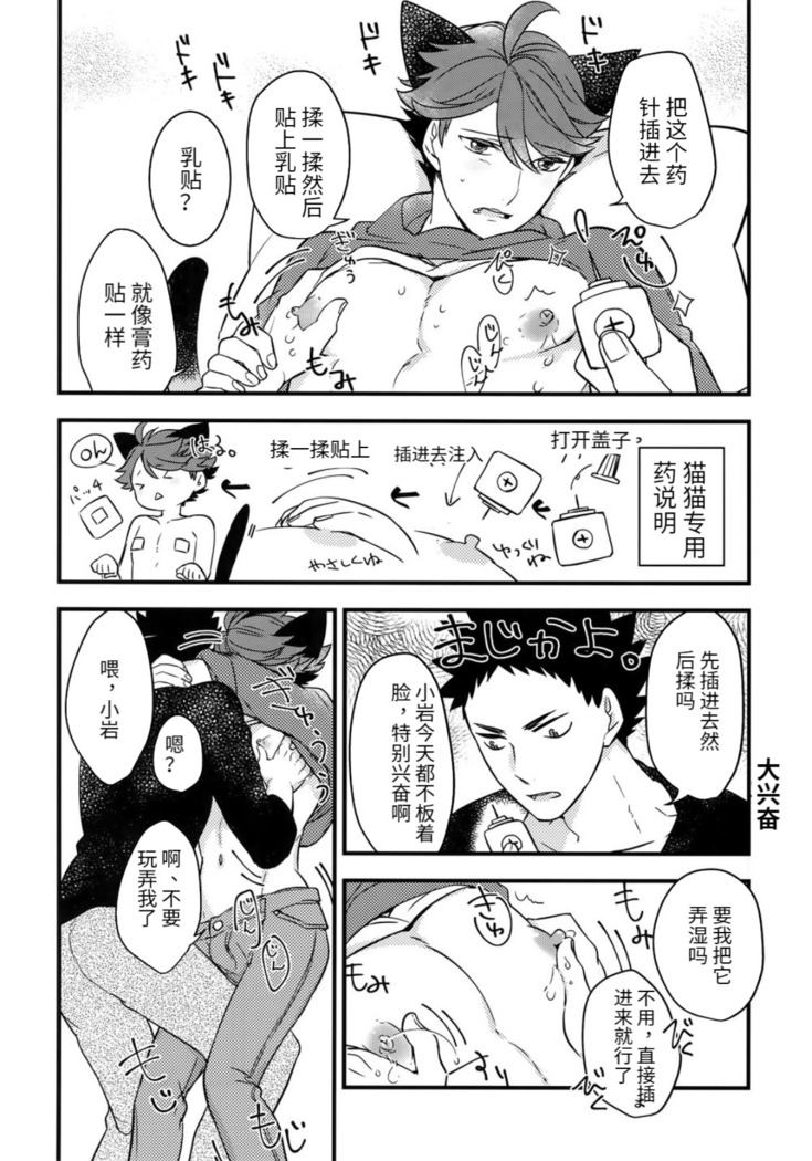 我想成为小岩的猫3 I want to become Iwa-chan's Cat! 3