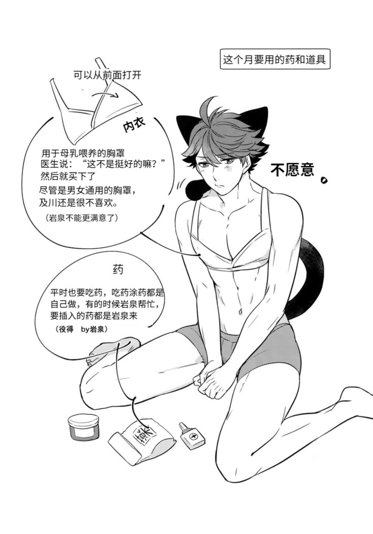 我想成为小岩的猫3 I want to become Iwa-chan's Cat! 3