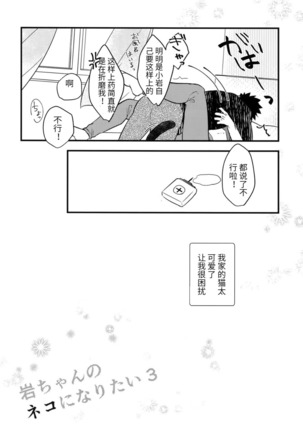 我想成为小岩的猫3 I want to become Iwa-chan's Cat! 3 - Page 19