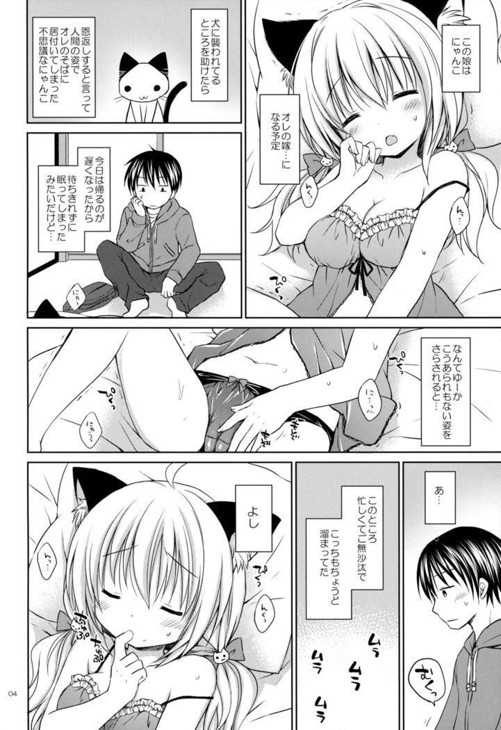 Nyanko Yome no Hatsujouki