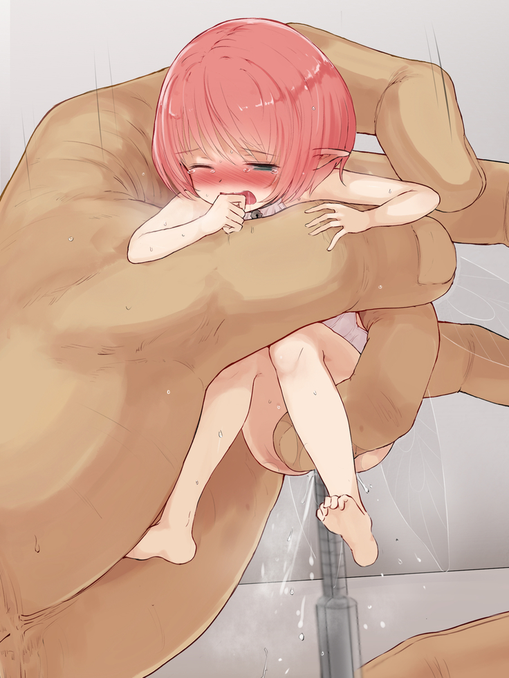 Kobito Zukan ~Yousei jiri~