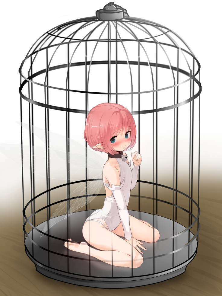 Kobito Zukan ~Yousei jiri~