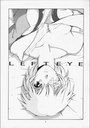 Left Eye Page #3