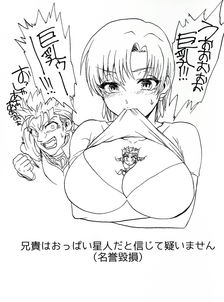 バゼットさんと槍たいっ！ 「fate」