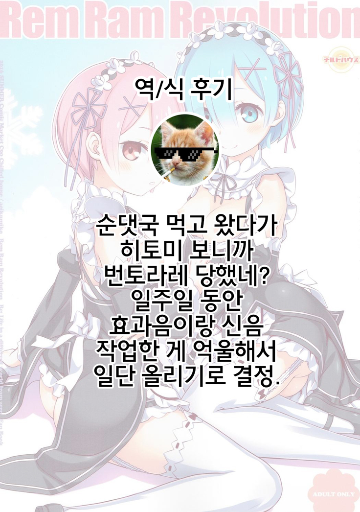 Rem Ram Revolution