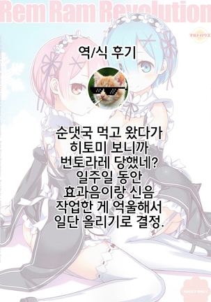 Rem Ram Revolution Page #20
