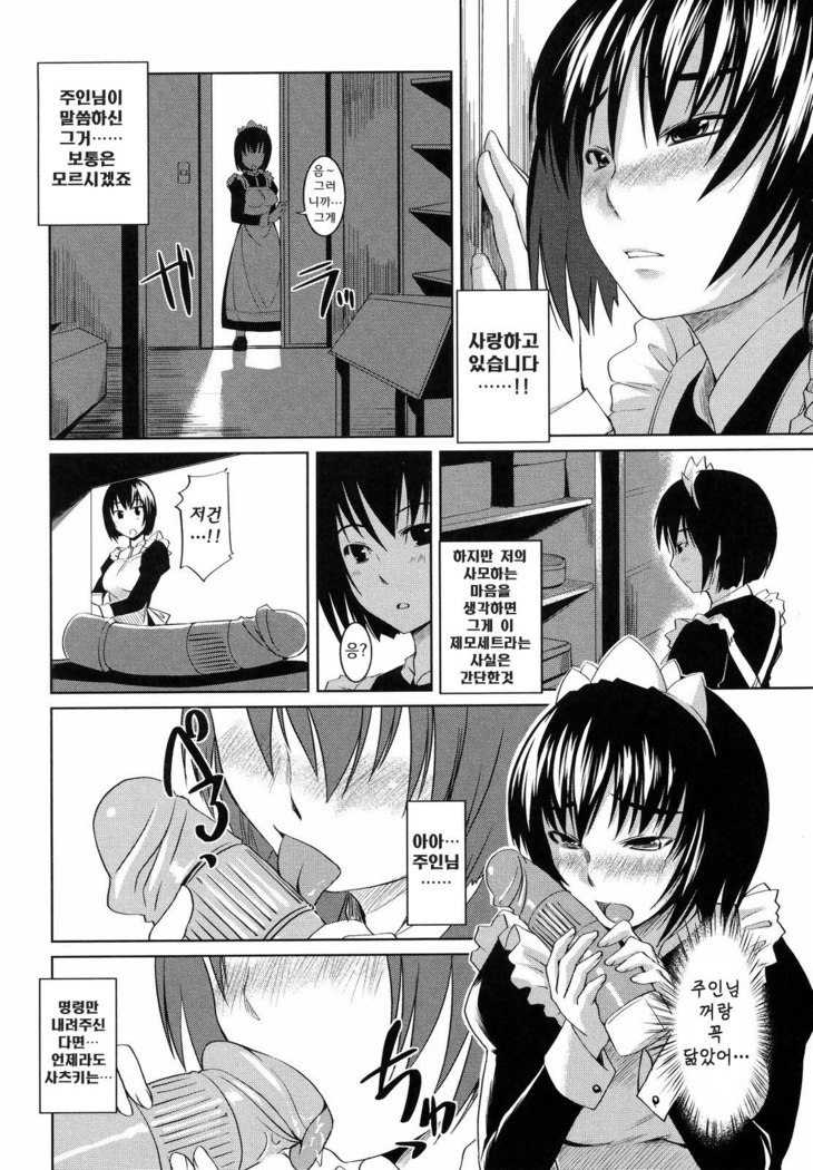 Ojousama wa H ga Osuki