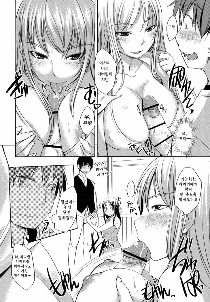 Ojousama wa H ga Osuki