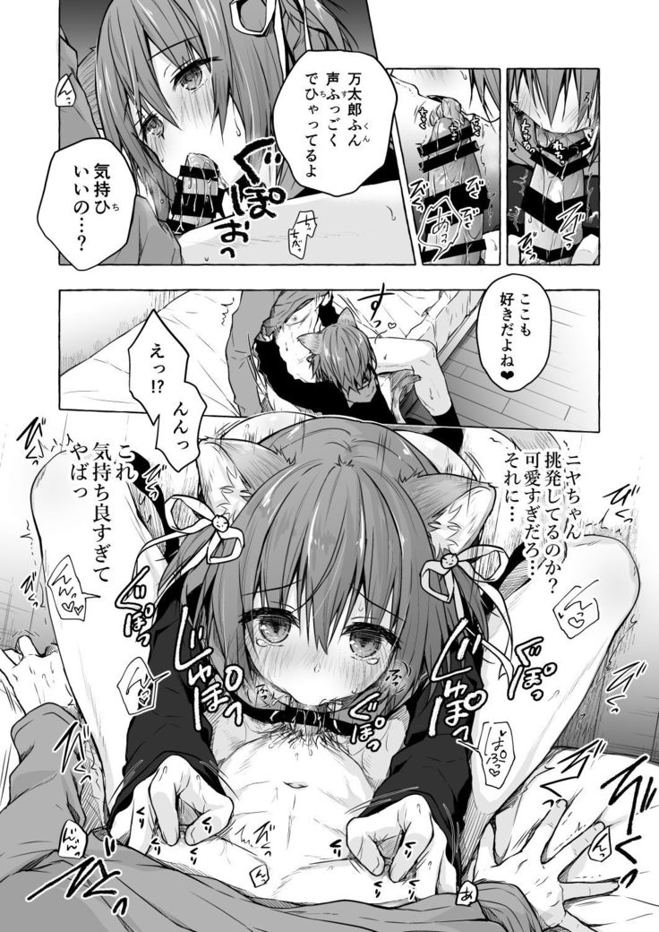 Nyancology 8 -Otomari ni Kita Nekoda-san to no Himitsu-