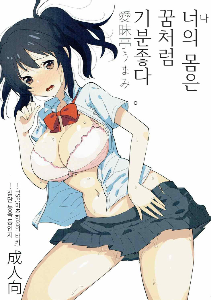 Ore no Karada wa Yume no You ni Kimochi Ii. | 나의 몸은 꿈처럼 기분좋다.