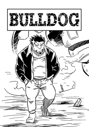 BULL DOG