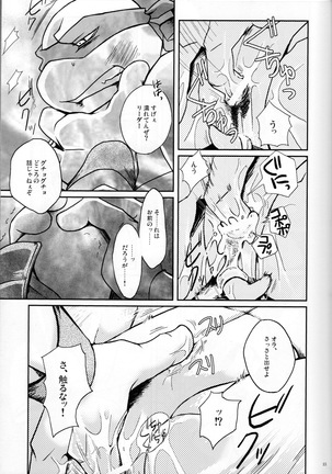 FALLEN - Raph vs Leo - Teenage Mutant Ninja Turtles, TMNT doujinshi Page #14