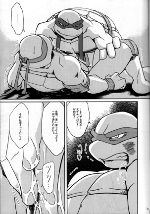 FALLEN - Raph vs Leo - Teenage Mutant Ninja Turtles, TMNT doujinshi
