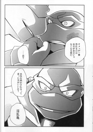 FALLEN - Raph vs Leo - Teenage Mutant Ninja Turtles, TMNT doujinshi - Page 17