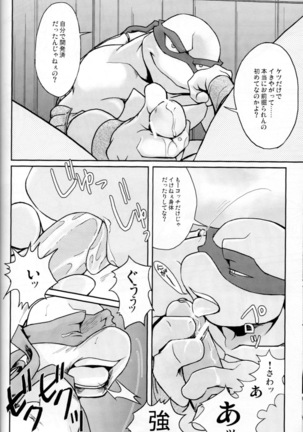 FALLEN - Raph vs Leo - Teenage Mutant Ninja Turtles, TMNT doujinshi Page #57