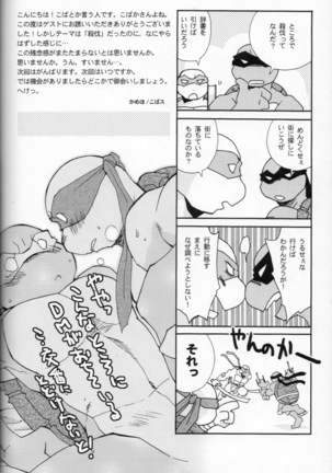 FALLEN - Raph vs Leo - Teenage Mutant Ninja Turtles, TMNT doujinshi - Page 79