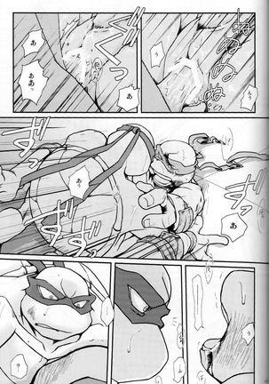 FALLEN - Raph vs Leo - Teenage Mutant Ninja Turtles, TMNT doujinshi Page #66