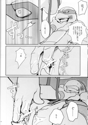 FALLEN - Raph vs Leo - Teenage Mutant Ninja Turtles, TMNT doujinshi - Page 13