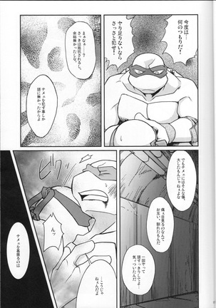 FALLEN - Raph vs Leo - Teenage Mutant Ninja Turtles, TMNT doujinshi Page #16