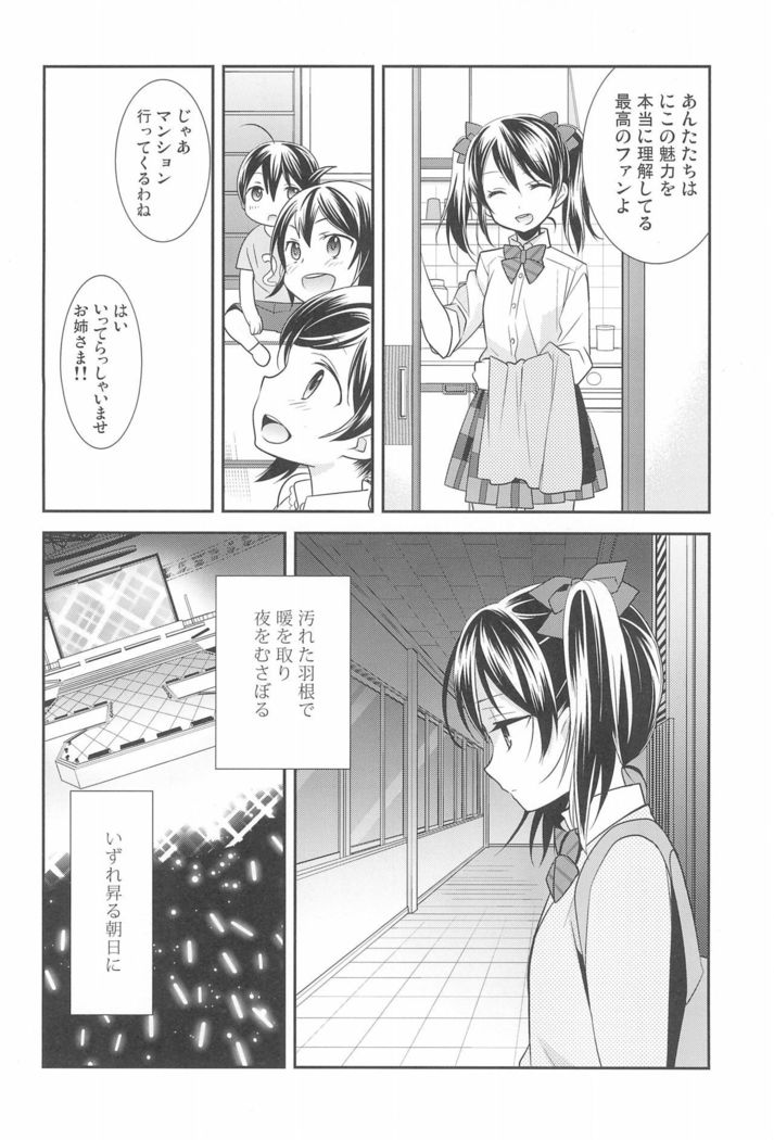 NICO & MAKI COLLECTION FINAL