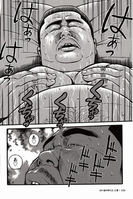 Shiroi Chi No Yukue Joukan