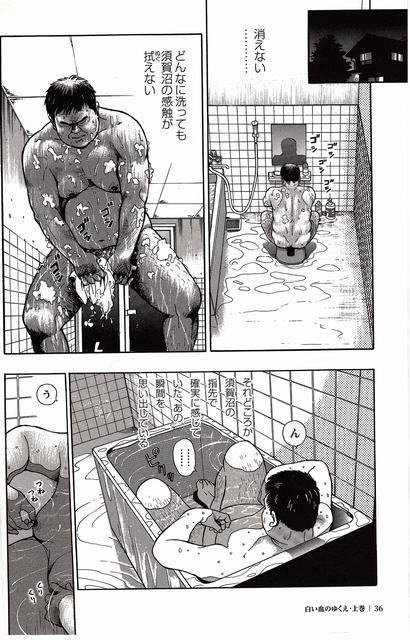 Shiroi Chi No Yukue Joukan