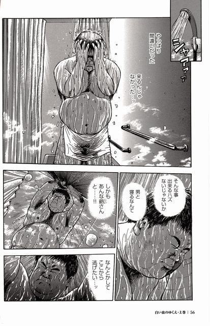 Shiroi Chi No Yukue Joukan