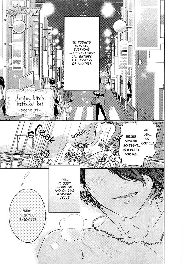 Junjou Bitch Hatsukoi Kei Ch. 1-4