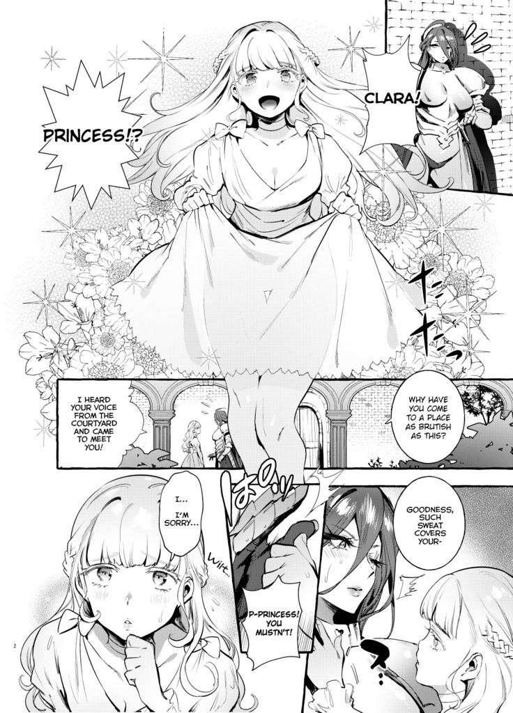 Ochinpo Onna Knight to Shojo Hime | The Princess and the Knight of the Dick