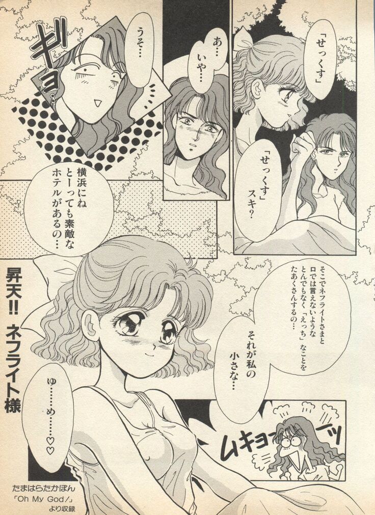 Lunatic Party