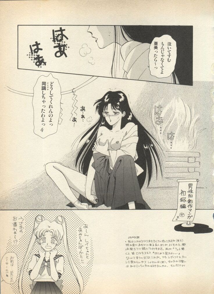 Lunatic Party