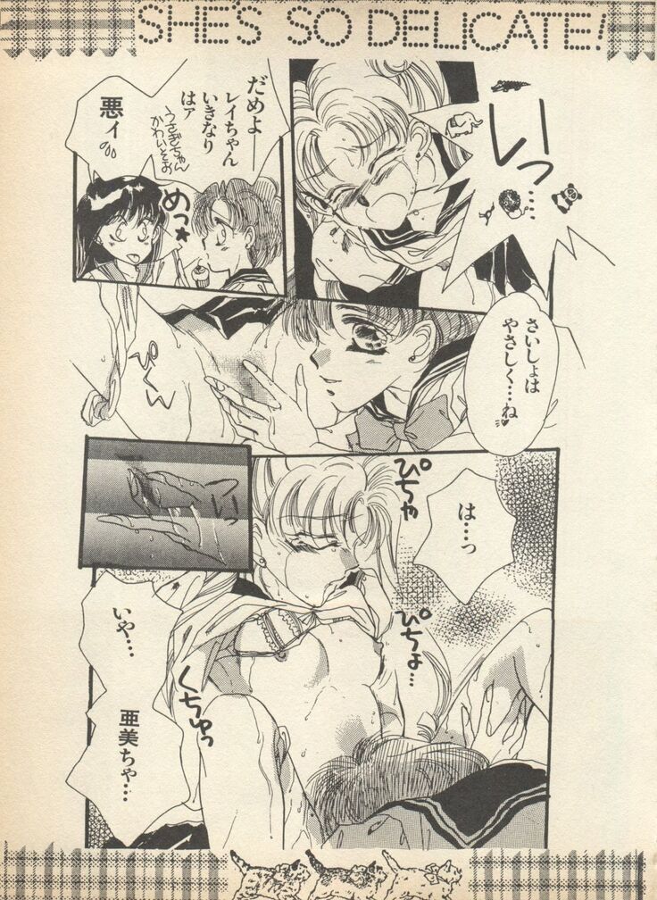 Lunatic Party