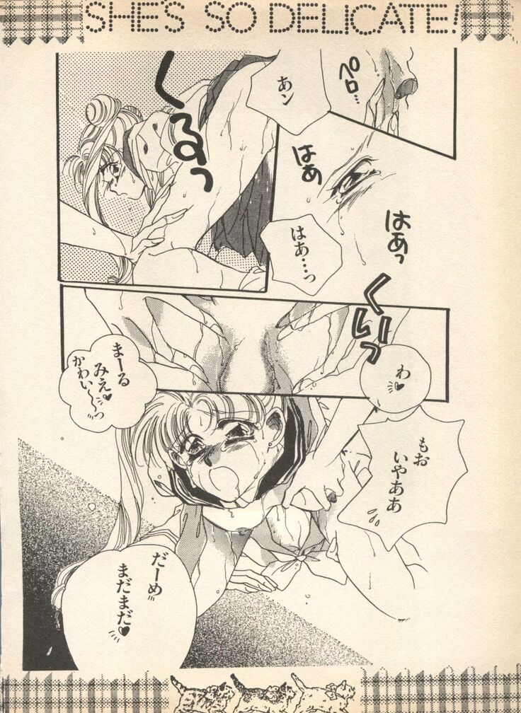 Lunatic Party