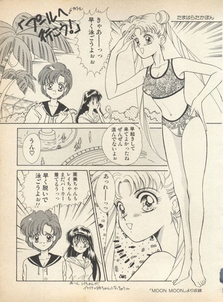 Lunatic Party