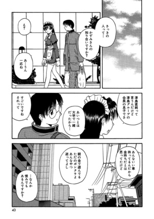 24-Jikan wo Goshuujin-sama ni Sasagu ～Nikuman Shimai to Doukyo wo Hajimete Mita～ - Page 41