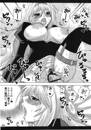 -Ikuhisashiku- HONEY BUMP Sekirei Soushuuhen Page #37