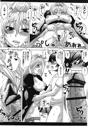 -Ikuhisashiku- HONEY BUMP Sekirei Soushuuhen Page #35