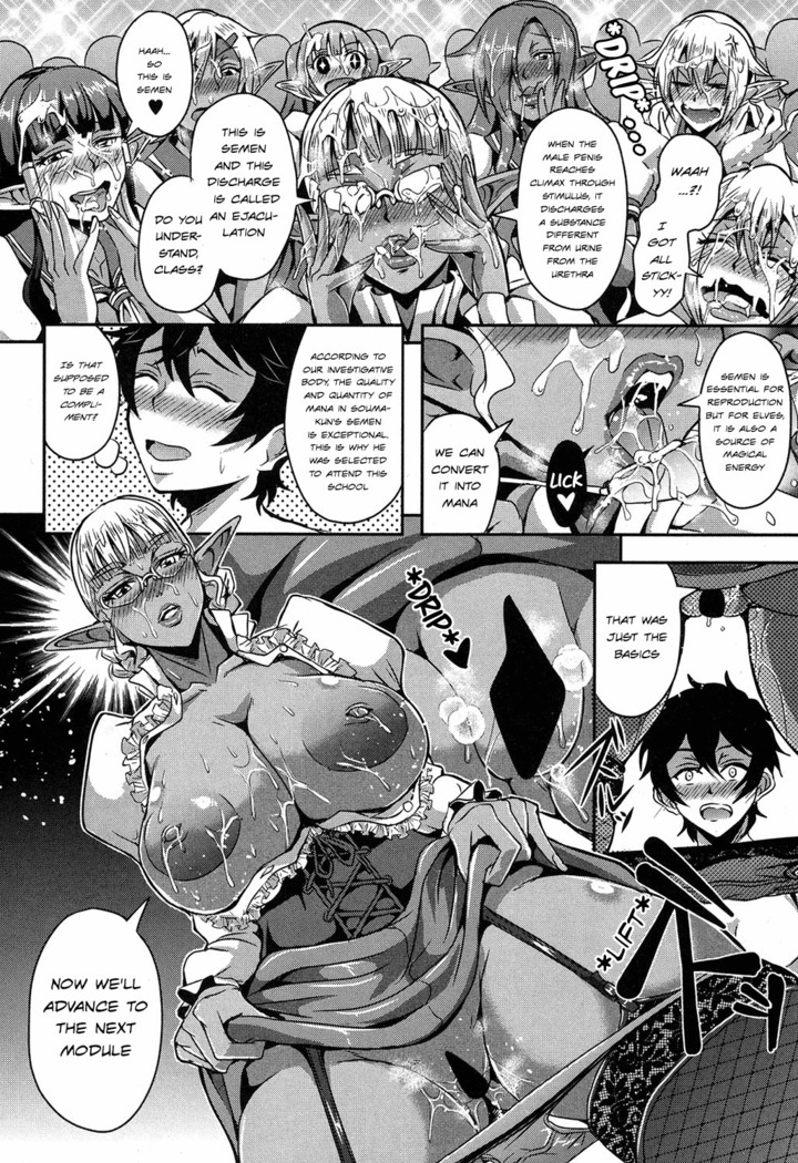 Elf Harem Academia