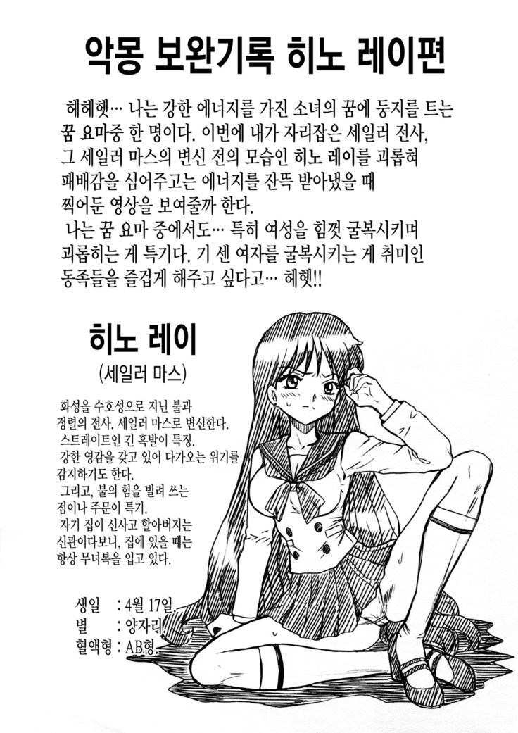 SAILORMOON FILE Hino Rei Gazoushuu