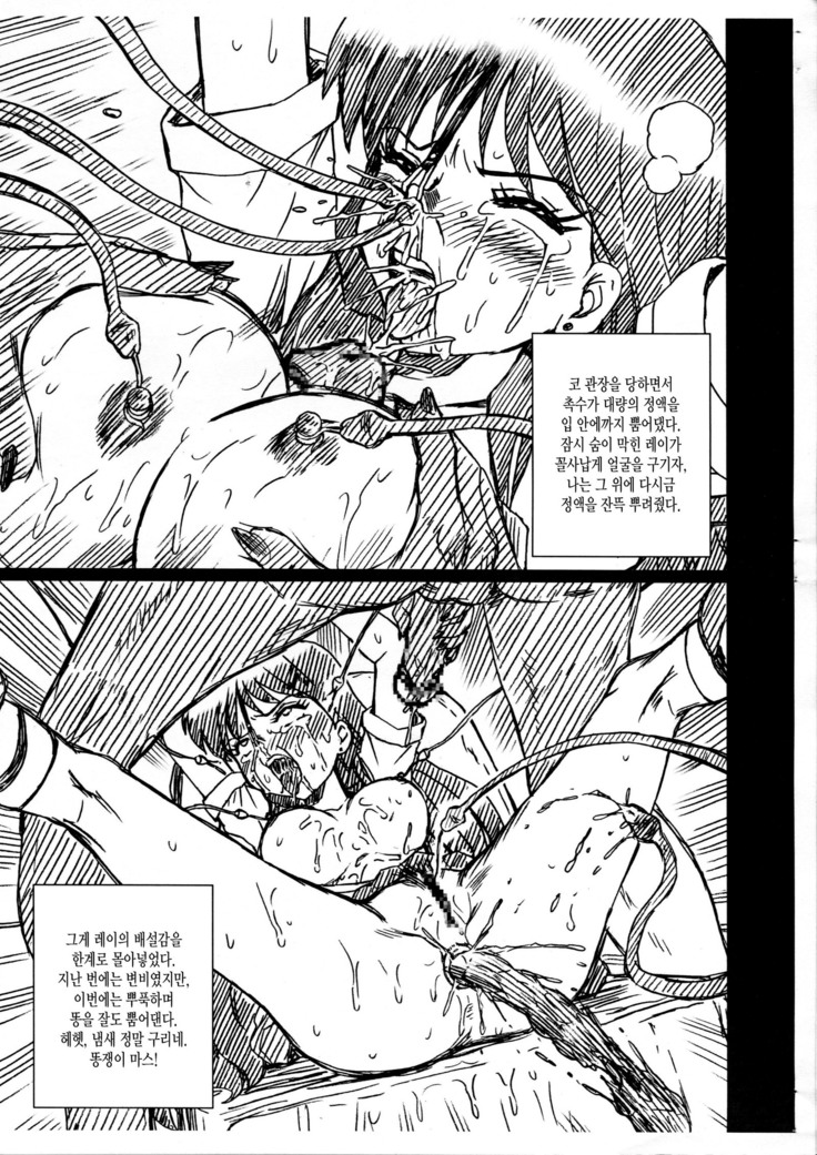 SAILORMOON FILE Hino Rei Gazoushuu