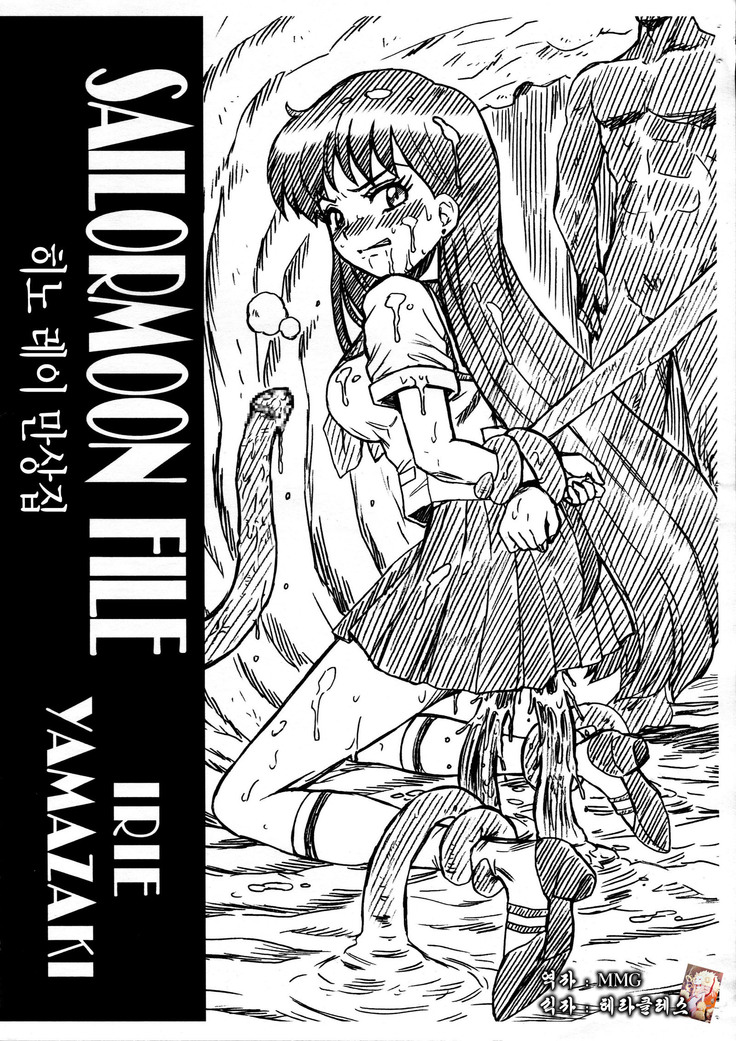SAILORMOON FILE Hino Rei Gazoushuu