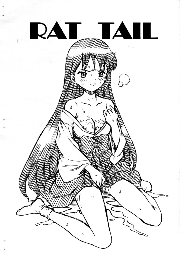 SAILORMOON FILE Hino Rei Gazoushuu