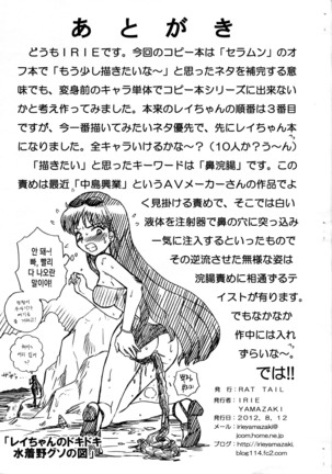 SAILORMOON FILE Hino Rei Gazoushuu